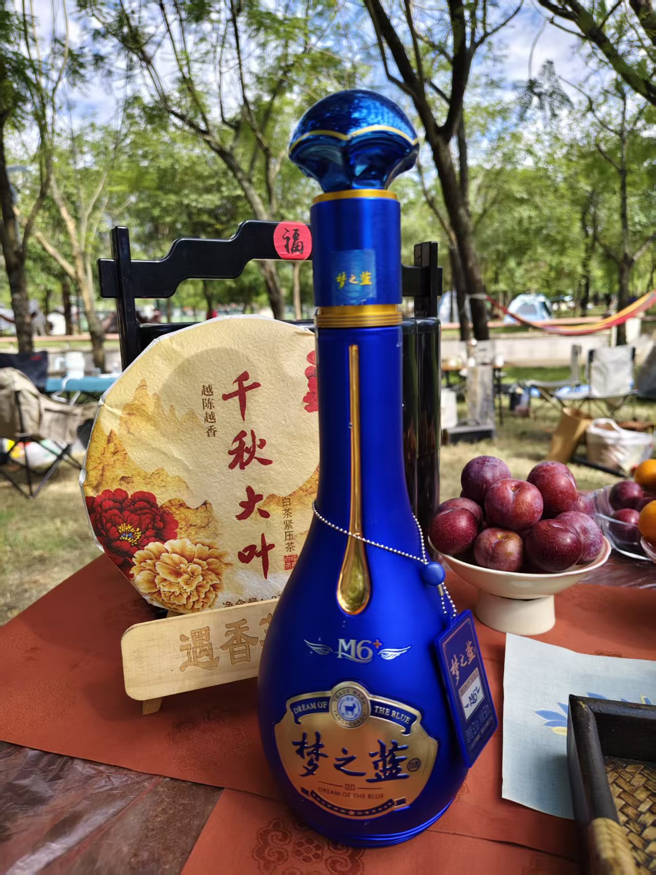 千秋大叶白茶与户外茶席产品陈列实拍